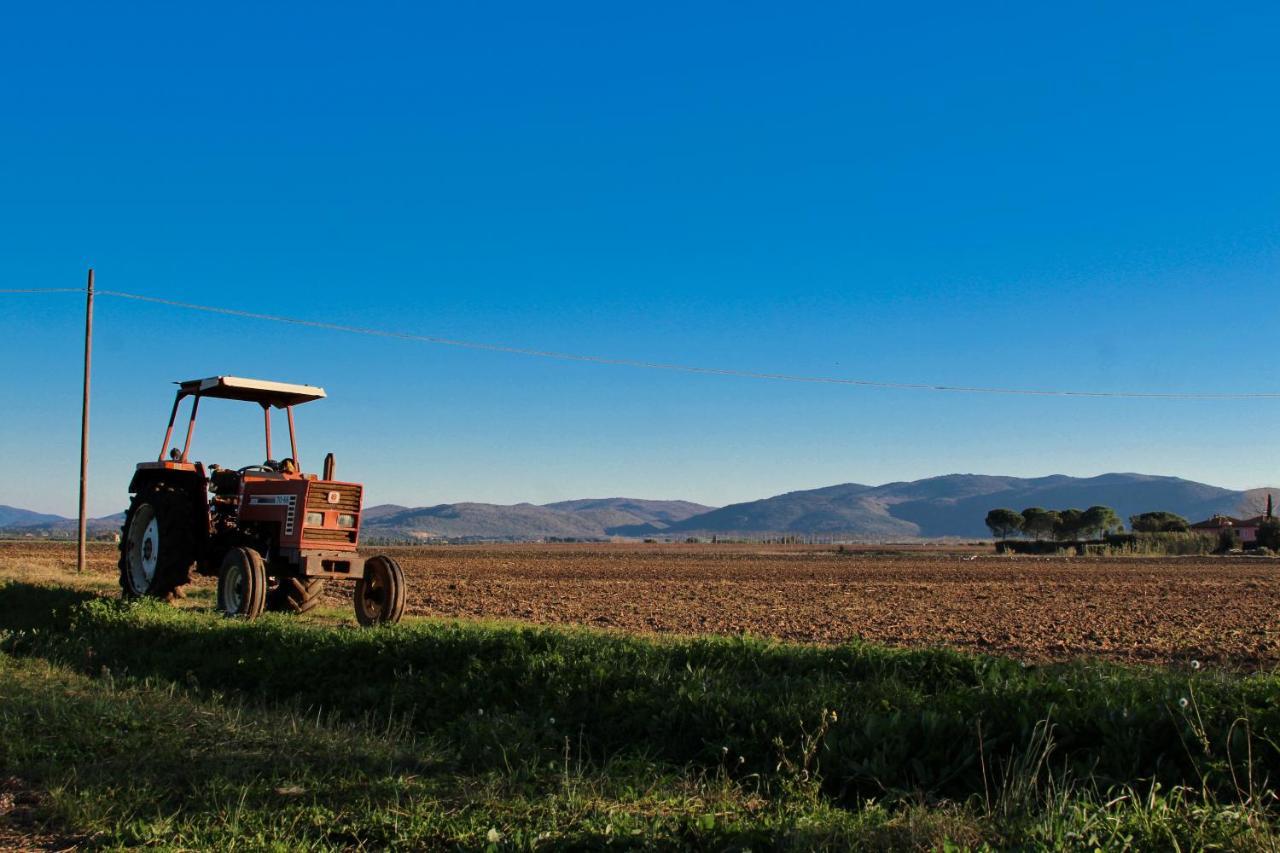Agriturismo Poderedodici Orbetello Exteriör bild